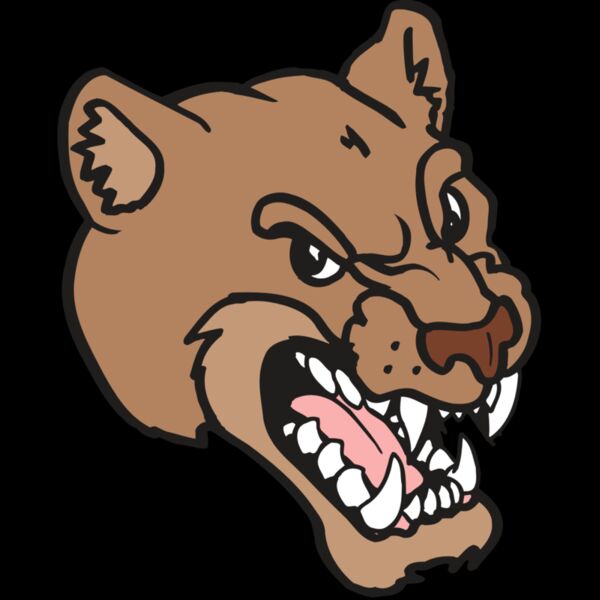 AR5 COUGAR 12 RQC Thumbnail