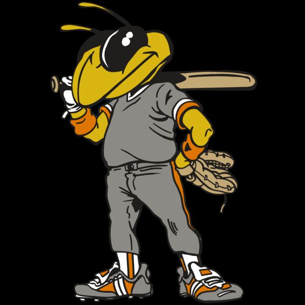 AR5 BEE 17 RQC Thumbnail