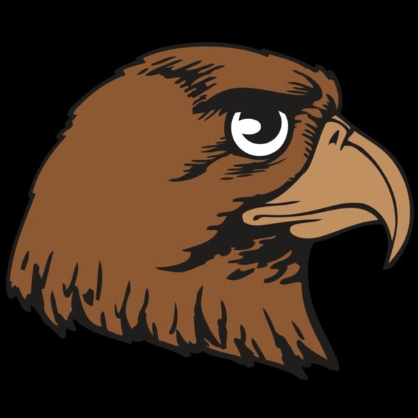 BAW HWK FLCN 05 RC Thumbnail