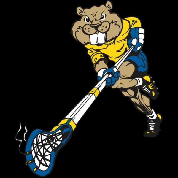 AR8 BEAVER 02 RQC Thumbnail