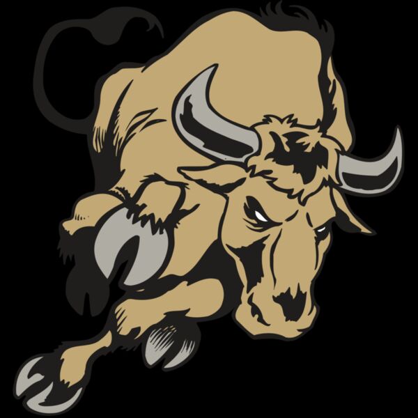 AR BULL 51 RC Thumbnail