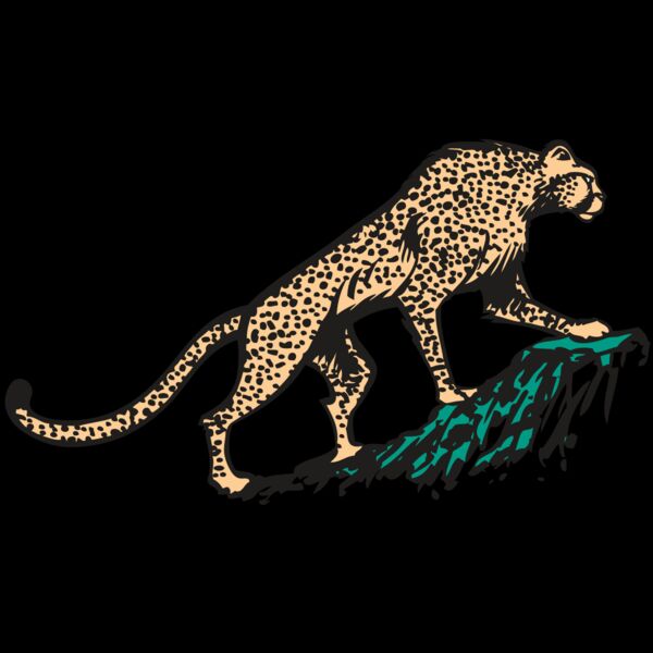 AR CHEETAH 02 RC Thumbnail