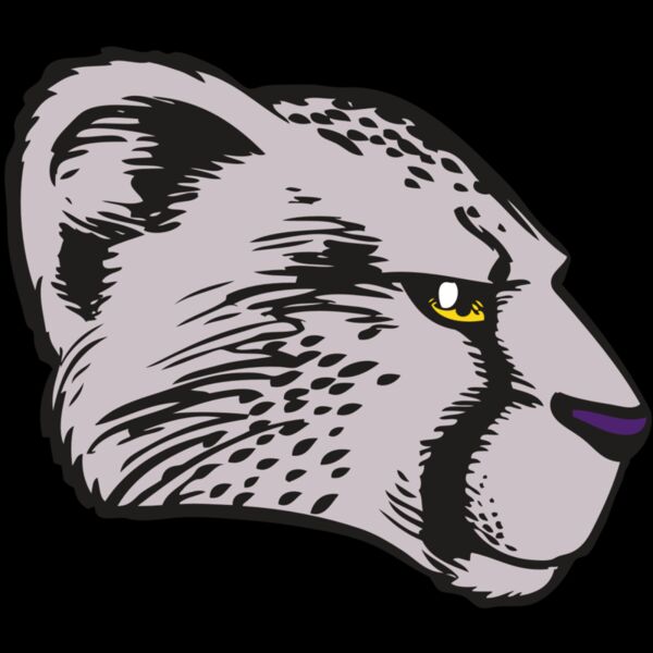 BAW CHEETAH 20 RC Thumbnail