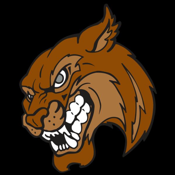 AR5 BOBCAT 07 RQC Thumbnail