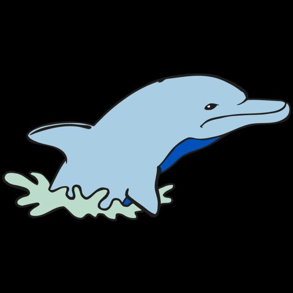 AR DOLPIN 14 RC Thumbnail