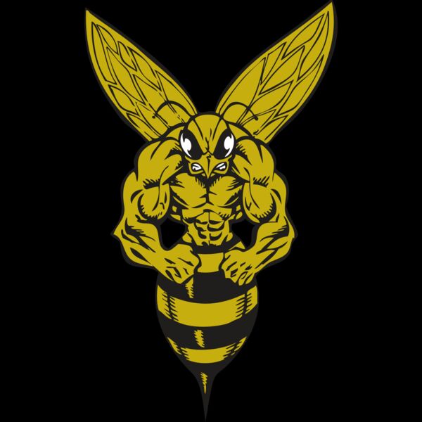 BAW BEE 06 RC Thumbnail