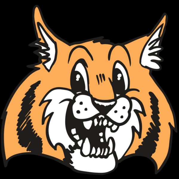 AR WILDCAT 13 RC Thumbnail