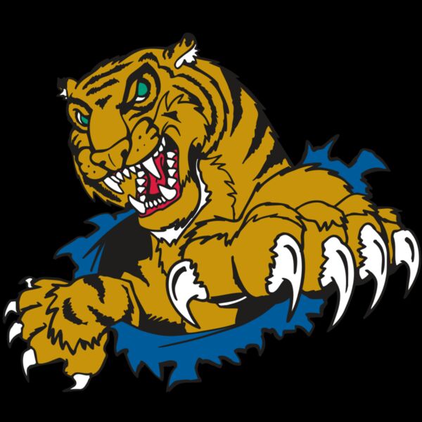 AR TIGER 69 RC Thumbnail