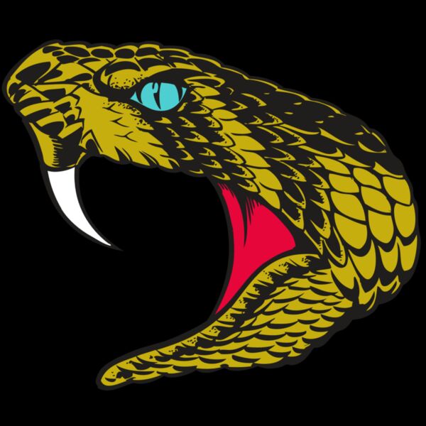 BAW SNAKE 16 RC Thumbnail