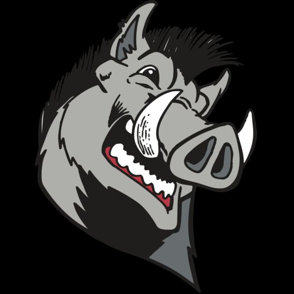 AR RAZORBACK 15 RC Thumbnail