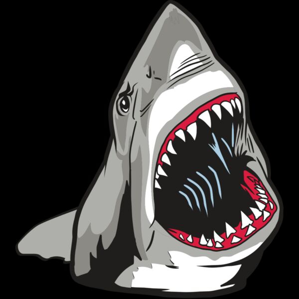 AR20 SHARK 45 RQC Thumbnail