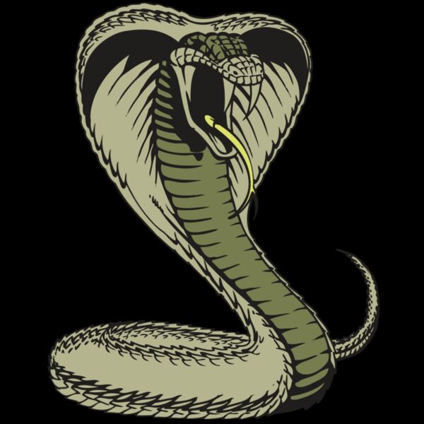 BAW SNAKE 07 RC Thumbnail