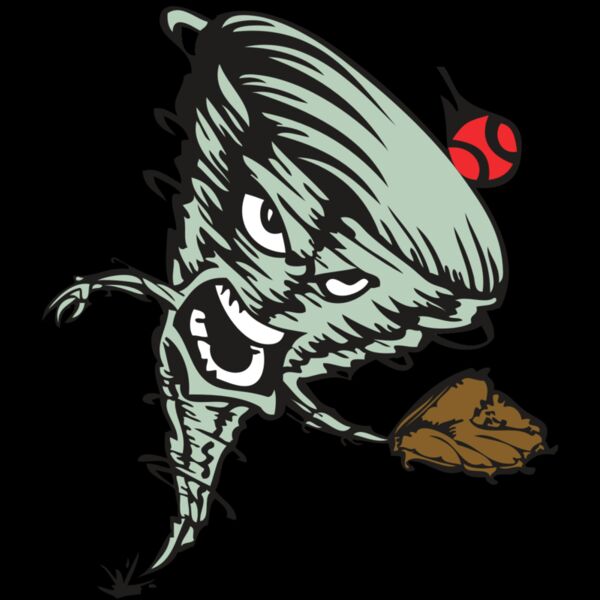 BAW STORM 09 RC Thumbnail